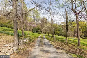 1460 Pitcock Ln, Winchester, VA 22602 - Photo 101