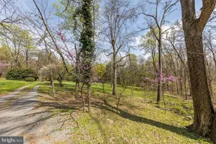 1460 Pitcock Ln, Winchester, VA 22602 - Photo 99