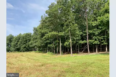 Light Road, Winchester, VA 22603 - Photo 61