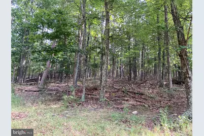Light Road, Winchester, VA 22603 - Photo 67