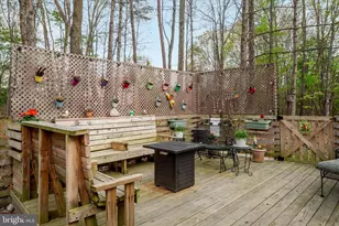 3691 Green Spring Rd, Winchester, VA 22603 - Photo 29