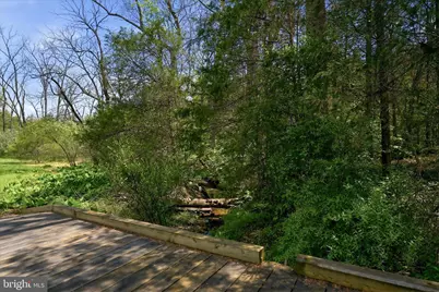 2121 S Pifer Road, Star Tannery, VA 22654 - Photo 103