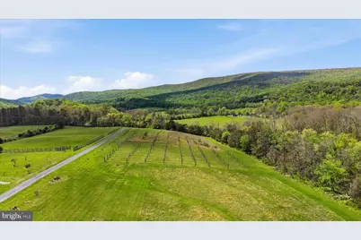 2121 S Pifer Road, Star Tannery, VA 22654 - Photo 117
