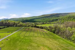 2121 S Pifer Rd, Star Tannery, VA 22654 - Photo 117