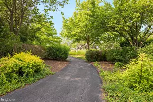100 Bamboo Shoot Ln, Stephenson, VA 22656 - Photo 51