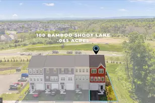 100 Bamboo Shoot Ln, Stephenson, VA 22656 - Photo 41