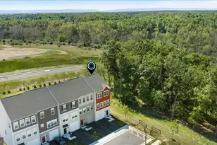100 Bamboo Shoot Ln, Stephenson, VA 22656 - Photo 43