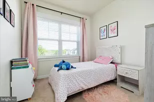 100 Bamboo Shoot Ln, Stephenson, VA 22656 - Photo 19
