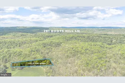281 Boots Hill Lane, Gore, VA 22637 - Photo 61