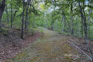281 Boots Hill Ln, Gore, VA 22637 - Photo 45