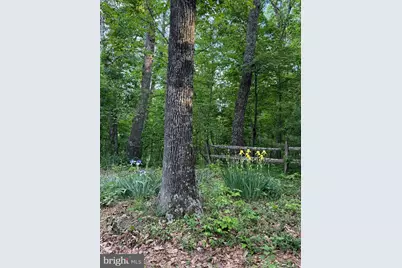 281 Boots Hill Lane, Gore, VA 22637 - Photo 49