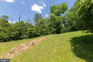 128 Babbs Run Ln, Winchester, VA 22603 - Photo 77
