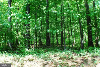 Lot 153 Babbs Mountain Rd, Winchester, VA 22603 - Photo 3