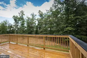 135 Biscane Ct, Winchester, VA 22602 - Photo 25