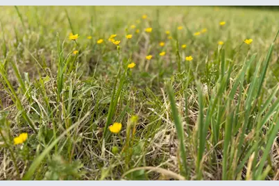Lot 1 Crested Mountain Lane, Cross Junction, VA 22625 - Photo 11