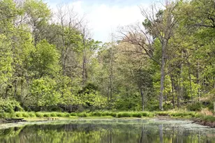 Lot 2 Crested Mountain Ln, Cross Junction, VA 22625 - Photo 1