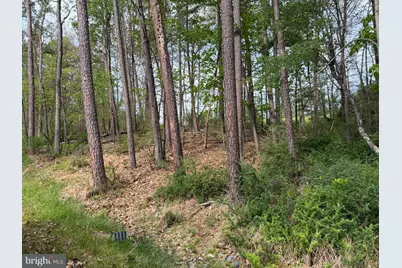 Lot 2 Crested Mountain Lane, Cross Junction, VA 22625 - Photo 15