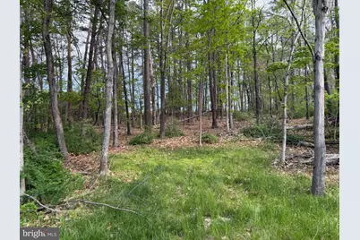 Lot 2 Crested Mountain Lane, Cross Junction, VA 22625 - Photo 17