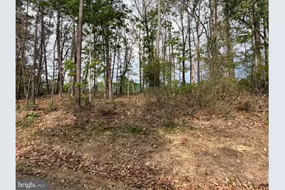 Lot 2 Crested Mountain Lane, Cross Junction, VA 22625 - Photo 5