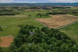 1512 Marlboro Rd, Stephens City, VA 22655 - Photo 55
