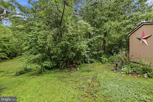 219 Bentley Ave, Winchester, VA 22602 - Photo 57