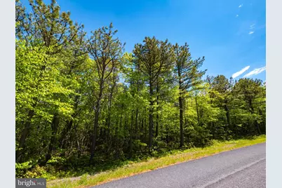 Lot 315A Timber Ridge Trail, Winchester, VA 22602 - Photo 3