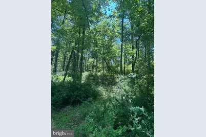 S South Timber Ridge Road, Cross Junction, VA 22625 - Photo 9