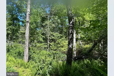 S South Timber Ridge Road, Cross Junction, VA 22625 - Photo 3