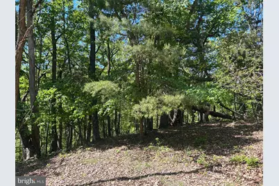 S South Timber Ridge Road, Cross Junction, VA 22625 - Photo 17