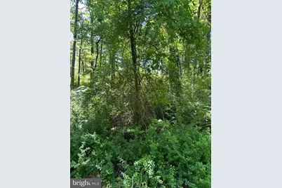 S South Timber Ridge Road, Cross Junction, VA 22625 - Photo 7