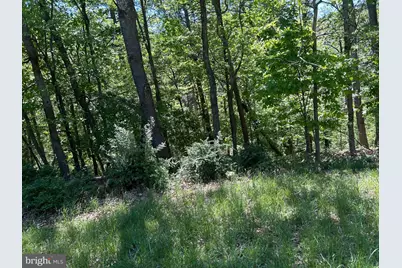 S South Timber Ridge Road, Cross Junction, VA 22625 - Photo 15