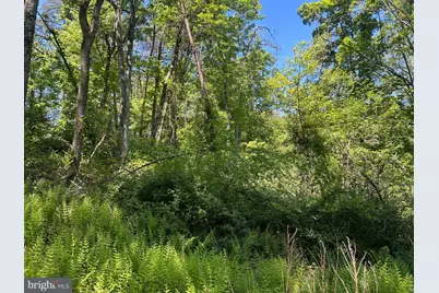 S South Timber Ridge Road, Cross Junction, VA 22625 - Photo 5