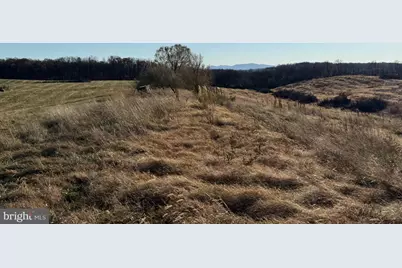Lot 4 - Honeycrisp, Winchester, VA 22603 - Photo 33