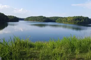 106 Choke Cherry Ct, Lake Frederick, VA 22630 - Photo 23