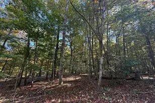 102 Southwood, Cross Junction, VA 22625 - Photo 1
