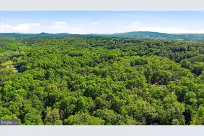 250 Creola Drive, Winchester, VA 22603 - Photo 61