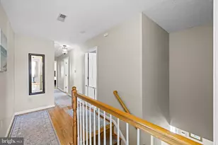 1286 Macedonia Church Rd, Stephens City, VA 22655 - Photo 33
