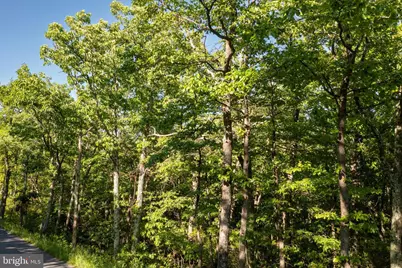 Lot 342 Archwood Trail, Winchester, VA 22602 - Photo 3