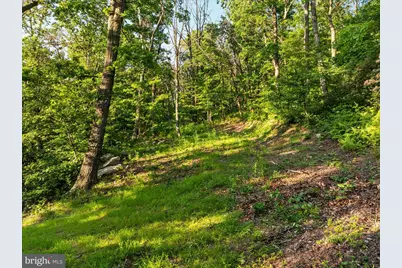 1280 Bobcat Trail, Winchester, VA 22602 - Photo 11
