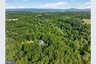 1980 Double Church Road, Stephens City, VA 22655 - Photo 5