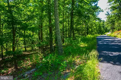 Lot 37 Poplar Trl, Winchester, VA 22602 - Photo 9