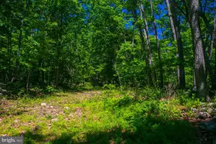 Lot 37 Poplar Trail, Winchester, VA 22602 - Photo 1