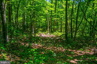 Lot 37 Poplar Trl, Winchester, VA 22602 - Photo 5