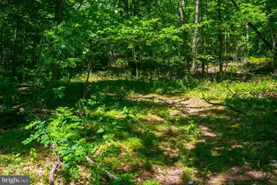 Lot 37 Poplar Trl, Winchester, VA 22602 - Photo 3