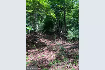 Tbd Brill Rd, Star Tannery, VA 22654 - Photo 7