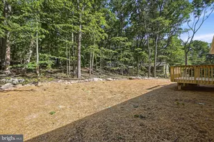 805 Pheasant Dr, Winchester, VA 22602 - Photo 47