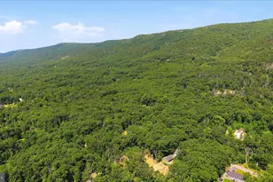 805 Pheasant Dr, Winchester, VA 22602 - Photo 51