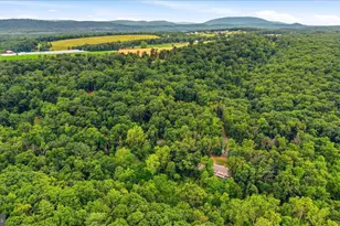 1100 Logger Dr, Gore, VA 22637 - Photo 61