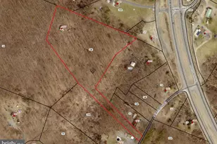 1917 S Timber Ridge, Cross Junction, VA 22625 - Photo 1