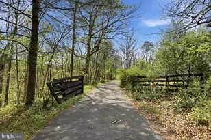 170 Mountain View Ct, Winchester, VA 22603 - Photo 55